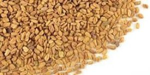 Fenugreek Seed
