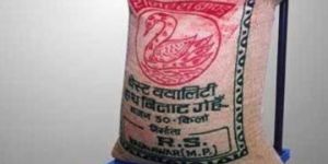 Mobile Platform Weighing Scale