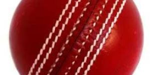 Alum Tanned Cricket Balls