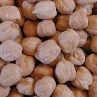 Chickpeas Seed