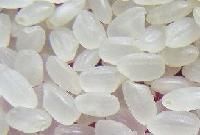 Short Grain Rice