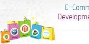 E Commerce Development Services