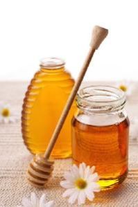 Forest Honey