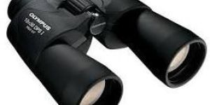 Olympus 10x50 DPS I Binocular