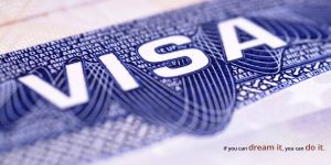Visa Consultancy Services
