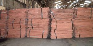 Copper Cathodes