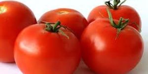 Fresh Tomato