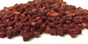 Gloriosa Superba Seeds