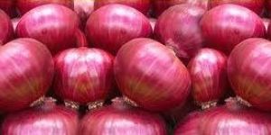 Fresh Big Red Onion