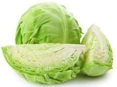 Fresh Cabbage