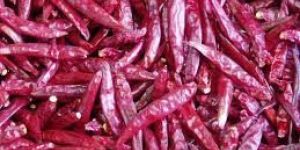Dried Red Chilli