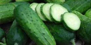 Fresh Cucumber