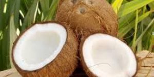 Fresh Coconut