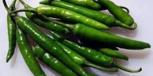 Fresh Green Chilli