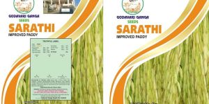 Paddy Sarathi