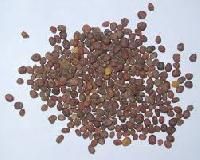 Radish Seeds