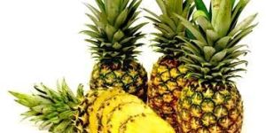 Fresh Pineapple