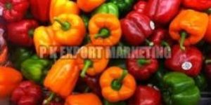 Fresh Bell Peppers