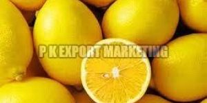 Fresh Lemon