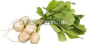Fresh Turnip