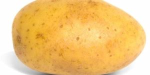Fresh Potato