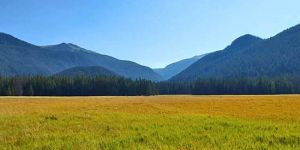 Meadow Tours