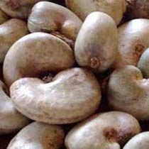 Raw Cashew Nuts