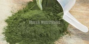 Spirulina Powder