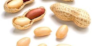 Groundnuts