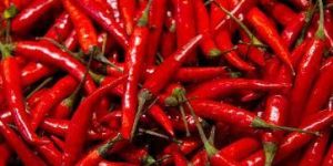 Red Chillies