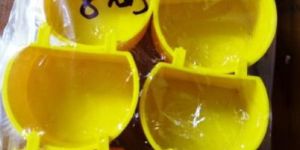Seed Cups