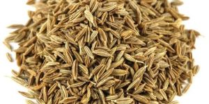 Cumin Seed