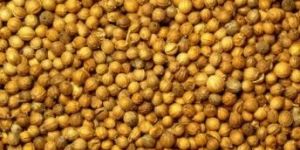 Coriander Seeds