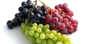 Fresh Grapes