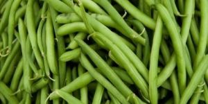 Fresh Green Beans