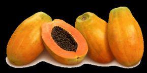Fresh Ripe Papaya