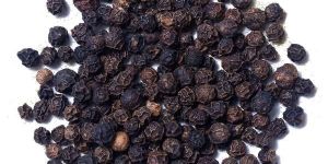 Black Pepper