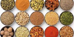 Indian Spices