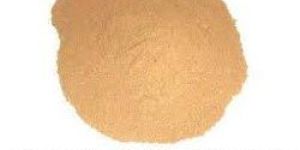Coconut Shell Powder