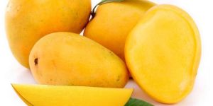 Alphonso Mango