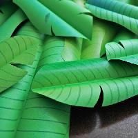 Paper Banana Leaf