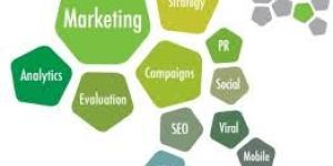 Digital Marketing Services