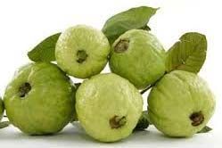 Fresh Guava