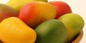 Fresh Mango