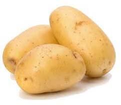 Fresh Potato