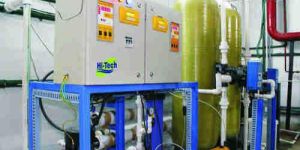 Water Purifier Plants