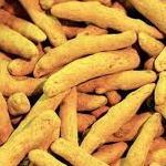 Raw Turmeric