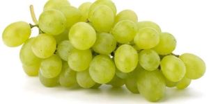 Fresh Grapes