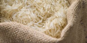 Basmati Rice