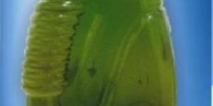 Corn Oil